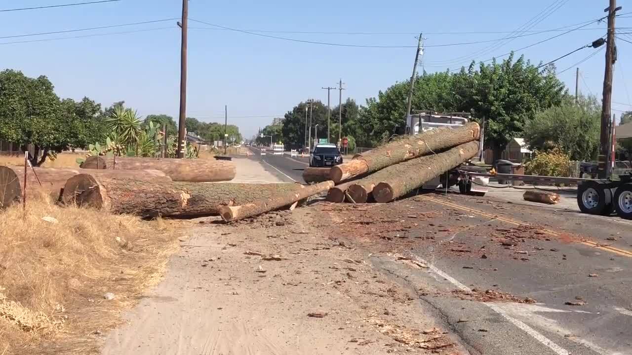 Big rig carrying logs in Merced County overturns near Highway 99, CHP says