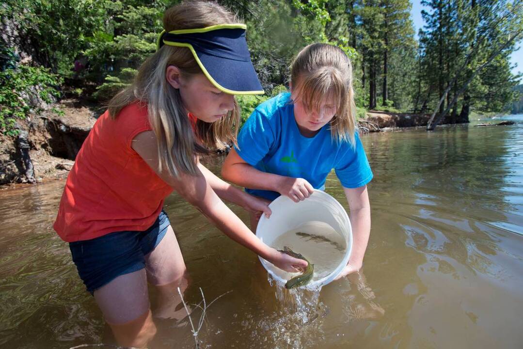 Students release 3,200 trout into Jenkinson Lake