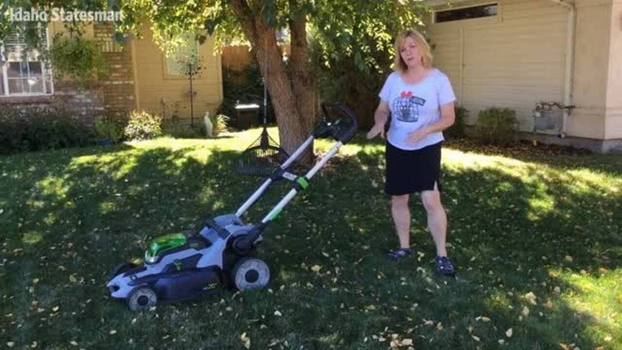 Hate raking leaves? This video is for you