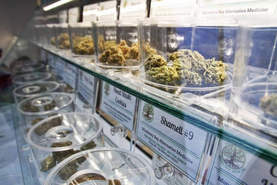 Take a look inside the closest cannabis shop to SLO