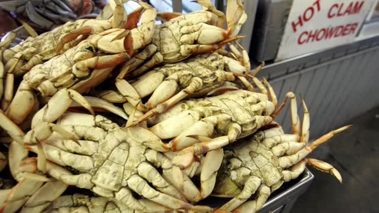 Fresh Dungeness crab to arrive at Fisherman’s Wharf