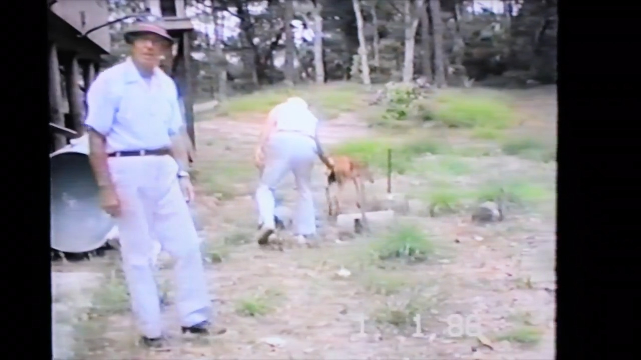 Video of tycoon Philip Rhodes on Pritchards Island with his fishing buddies