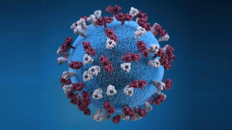 How dangerous is a measles outbreak?