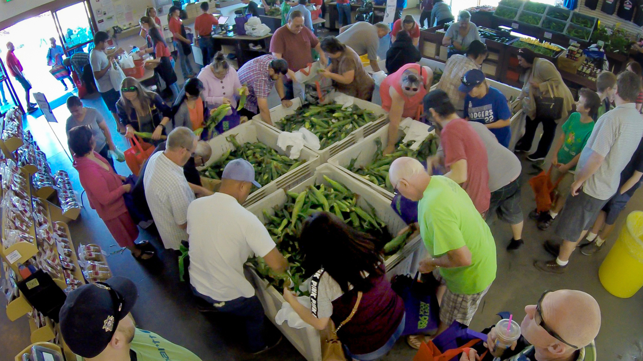 You know the drill: Fresno State’s sweet corn is back. Here’s when you can get a taste