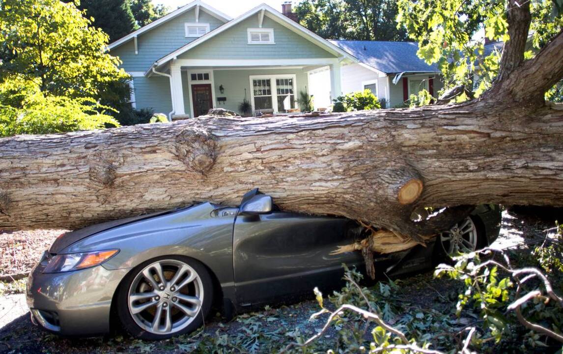 Sounds of chainsaws and generators fill the air in Raleigh during hurricane clean-up