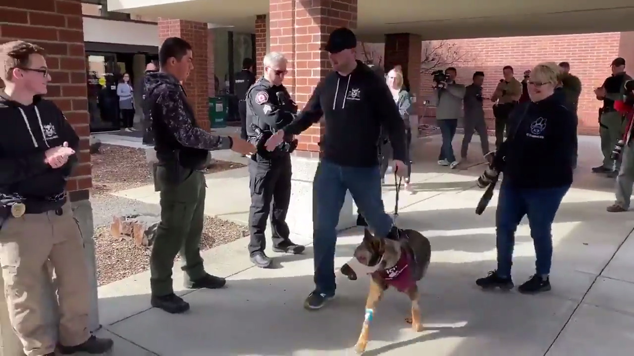 K9 Chief, a Moses Lake police dog, was headed home from the WSU ...