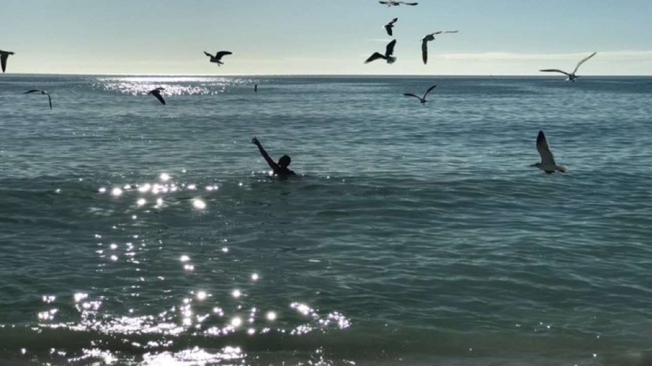 Pandemic taking a toll on number of visitors to Bradenton from everywhere. Except Florida