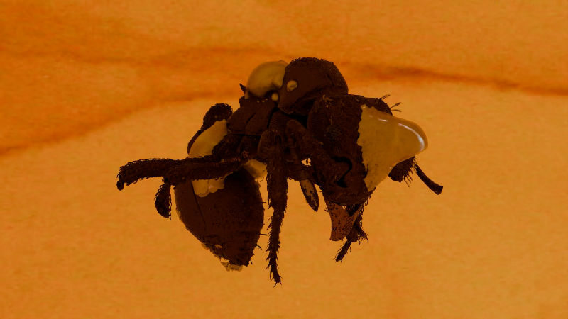 New species of dirt ant discovered in 16-million-year-old amber
