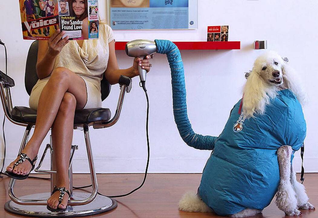 Dave Barry’s 2015 Holiday Gift Guide