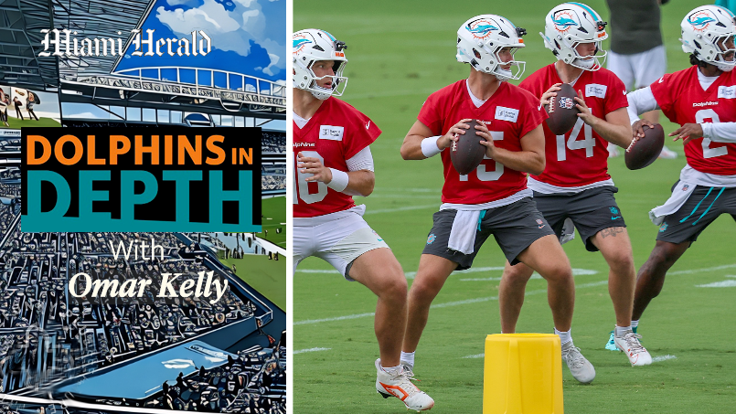 Dolphins in Depth: Are Dolphins creating competitive battles?
