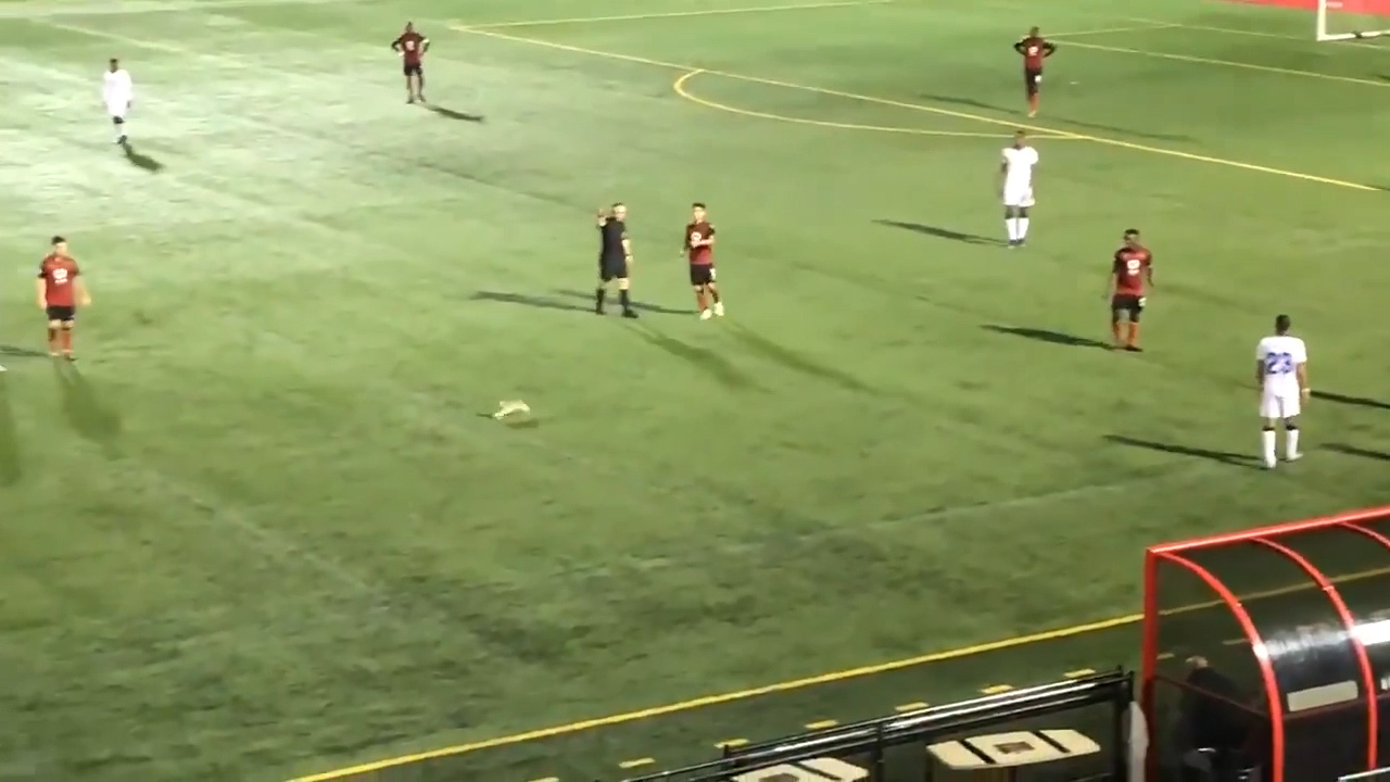 Cat steals the show at Canadian soccer game