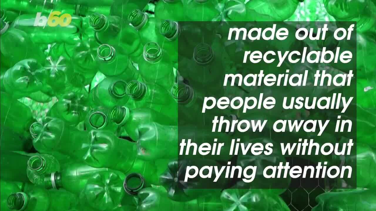 Last-minute gifts for your eco-conscious friend