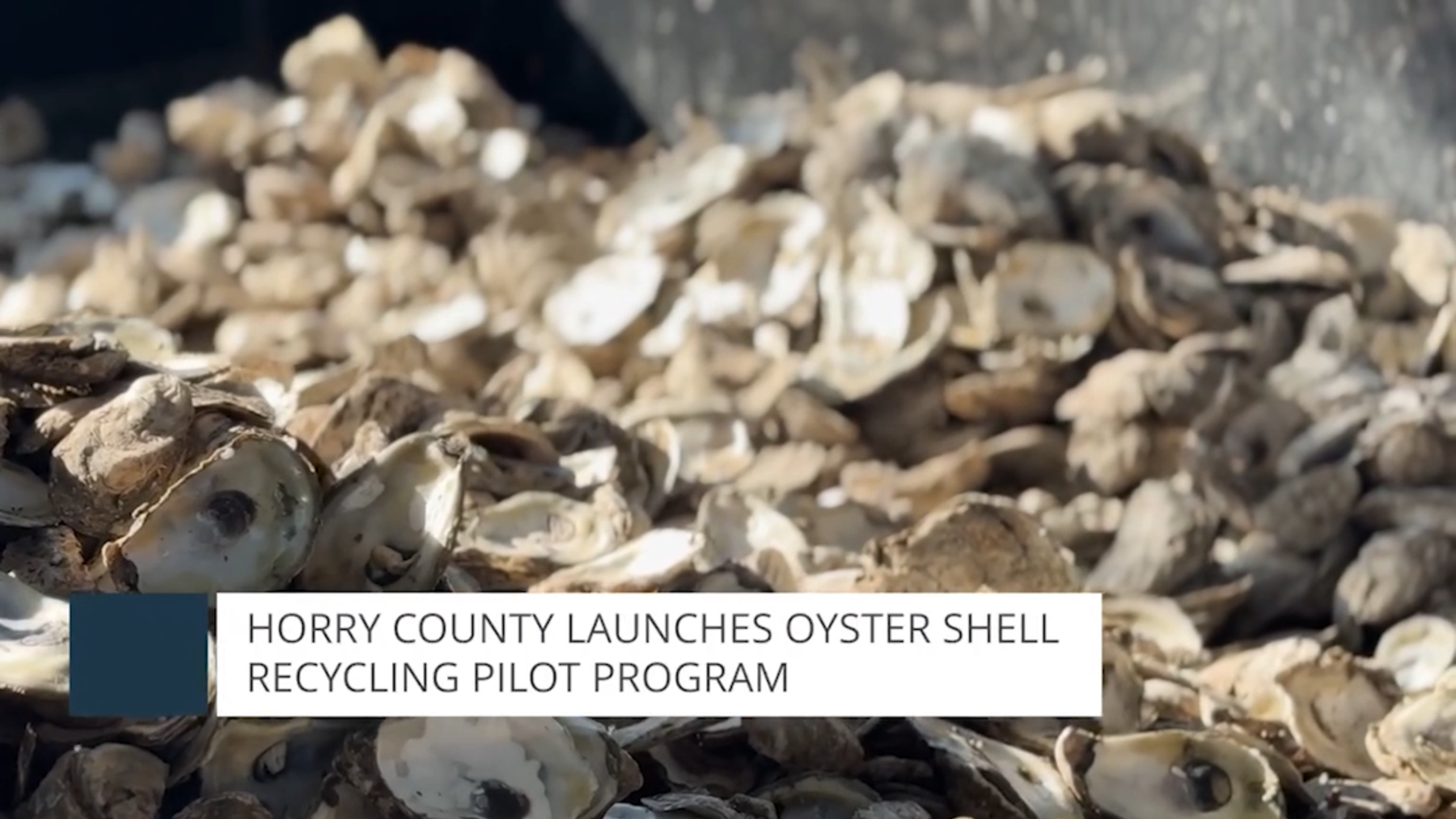 Horry County offers oyster recycling program