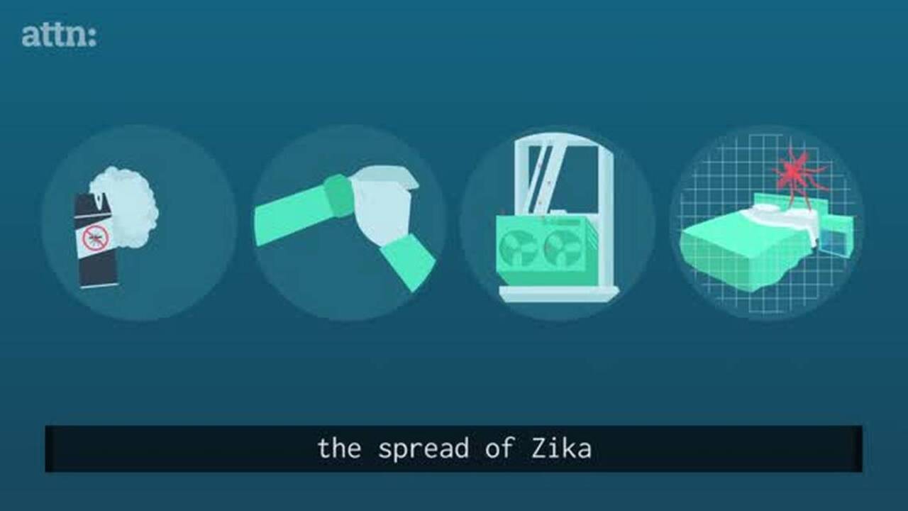 How to protect yourself from mosquitoes this summer