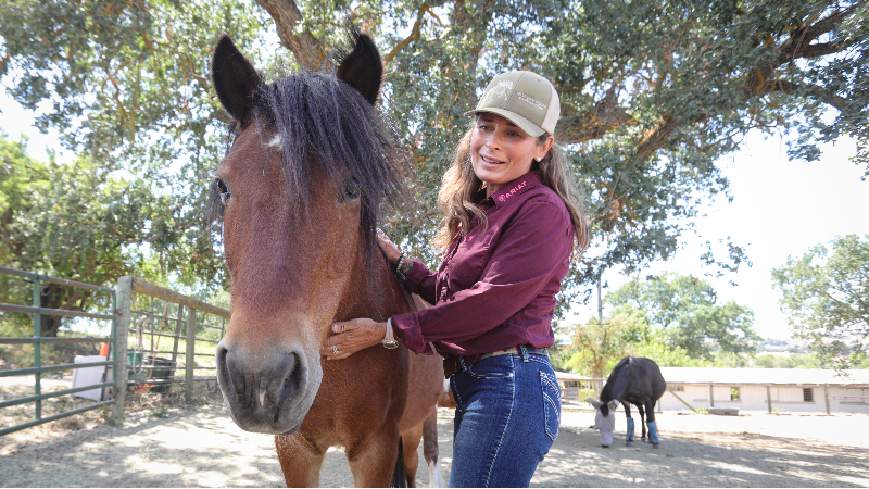 What can horses teach us about confidence and communication?