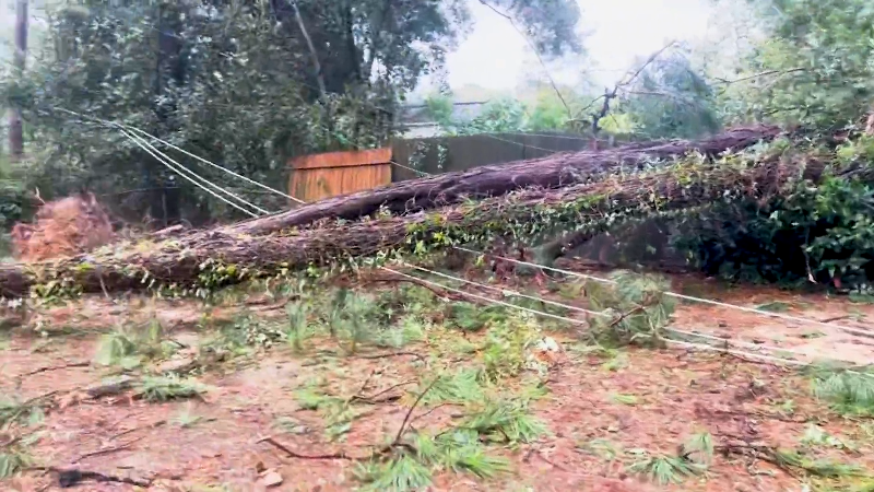 Idalia knocks down trees, destroys home in Valdosta, Georgia