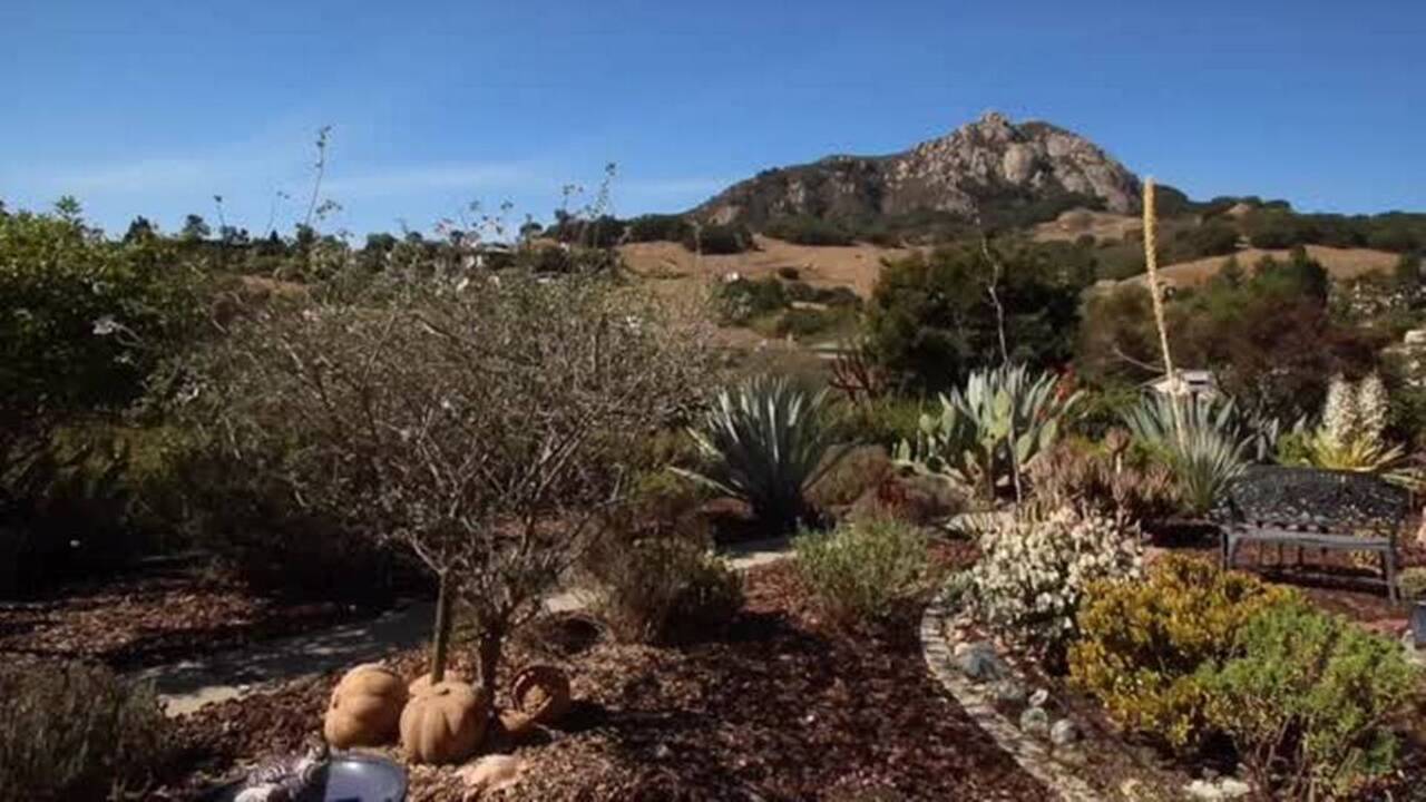 Take a virtual tour of this serene SLO garden