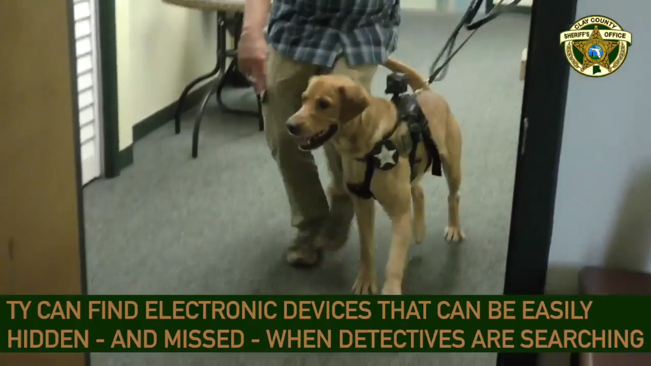 A police dog in Florida can sniff out child porn. He’s looking for a chemical scent