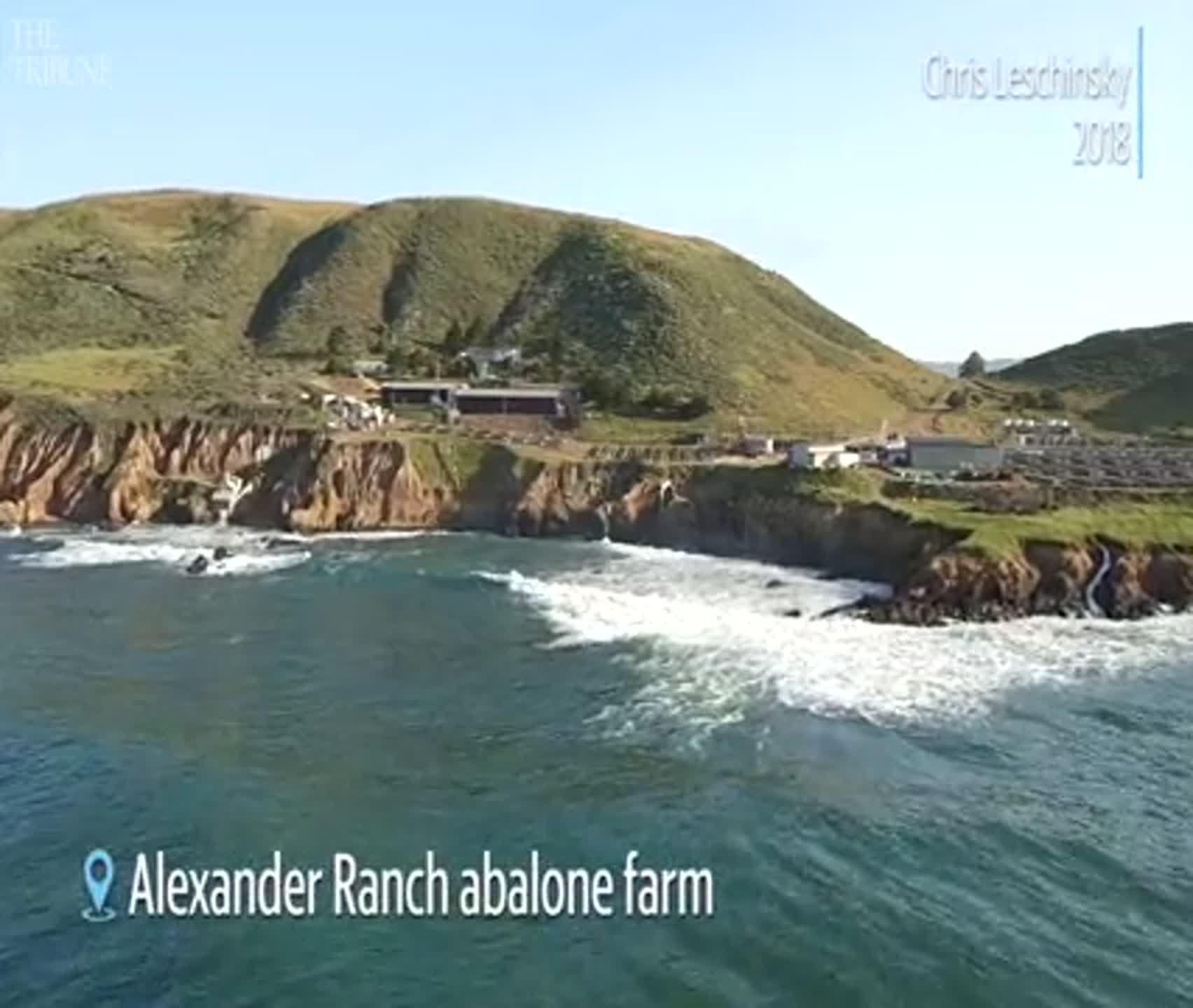 Take a look at the former abalone farm north of Cayucos