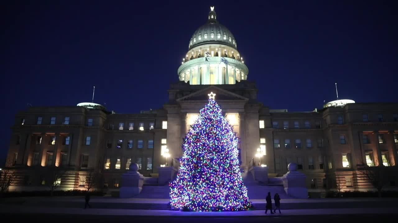 2020 Capitol Christmas tree: A timelapse from dusk to dark