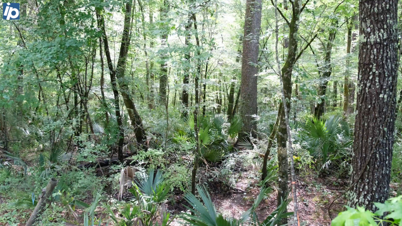 Slater Tract: Listen to the sounds of a diverse ecosystem and birder’s paradise