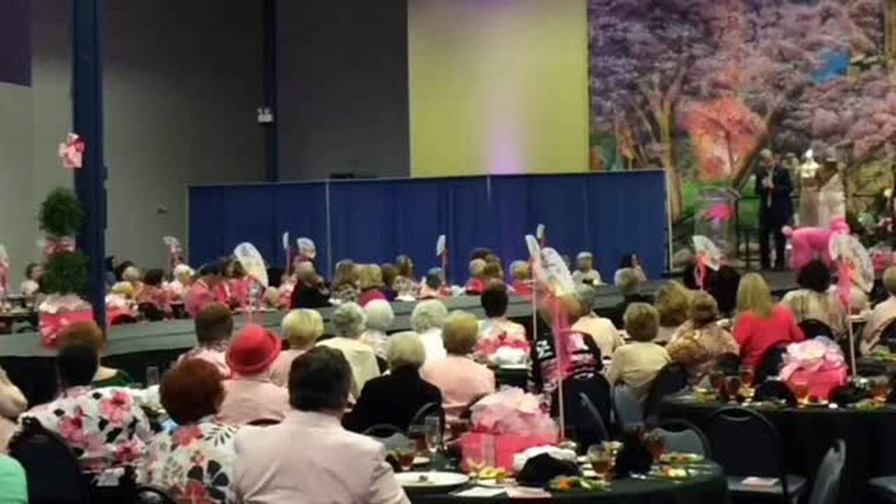 Special events at night add extra dazzle to Macon's Cherry Blossom Festival