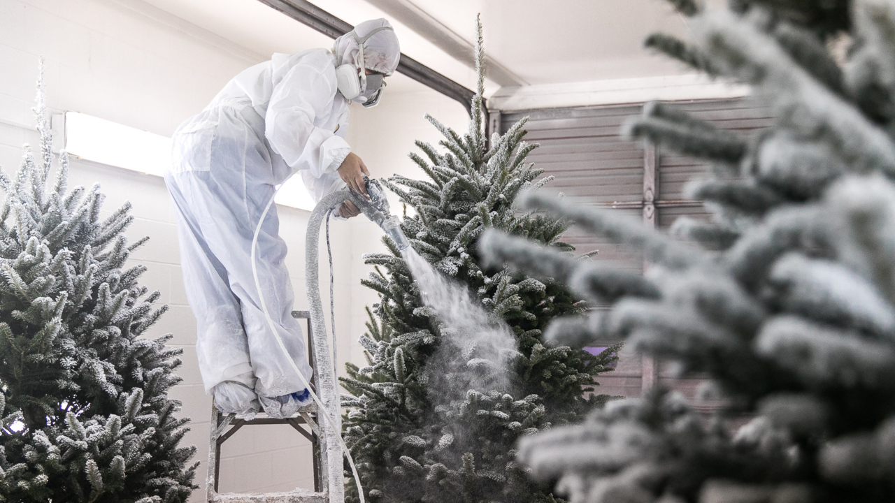 How Christmas trees are flocked