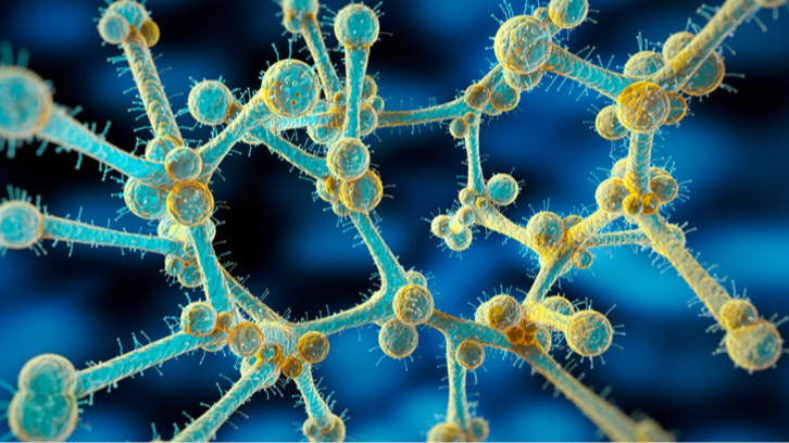Deadly drug-resistant ‘superbug’ is spreading in California. What to know