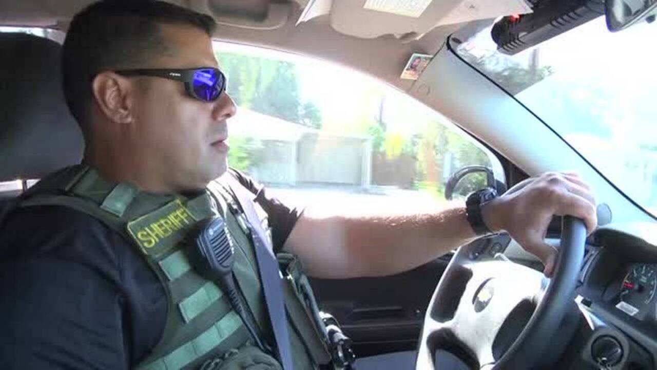 Central Sarasota County operation nets dozens of arrests (Video ...