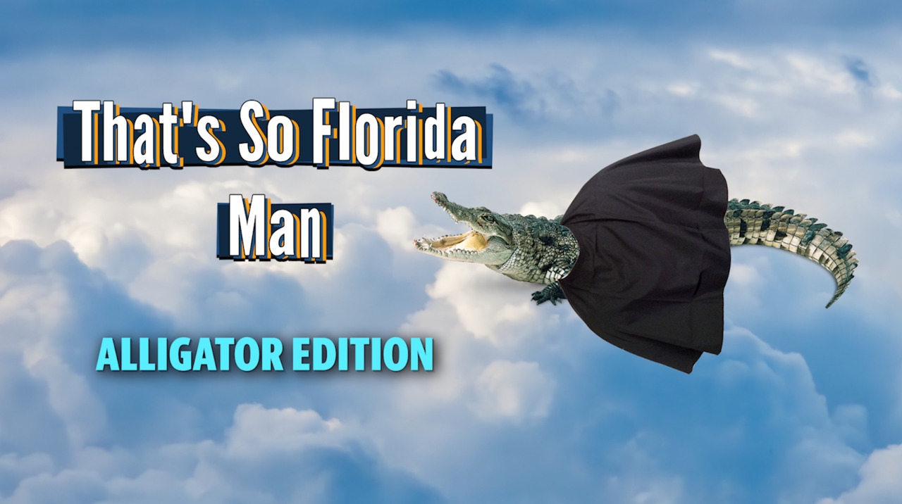 Scaling fences, dodging cars, leaping in the air: We think gators may have superpowers