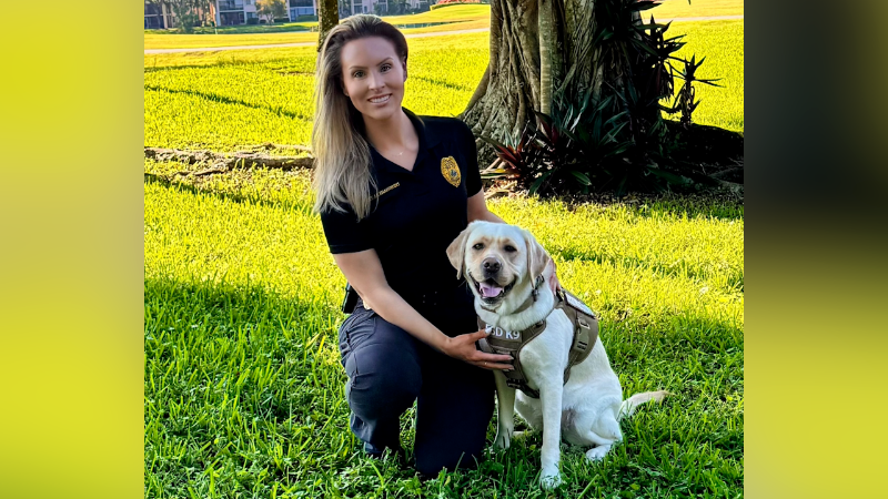 Miramar K-9 detects hidden electronic devices