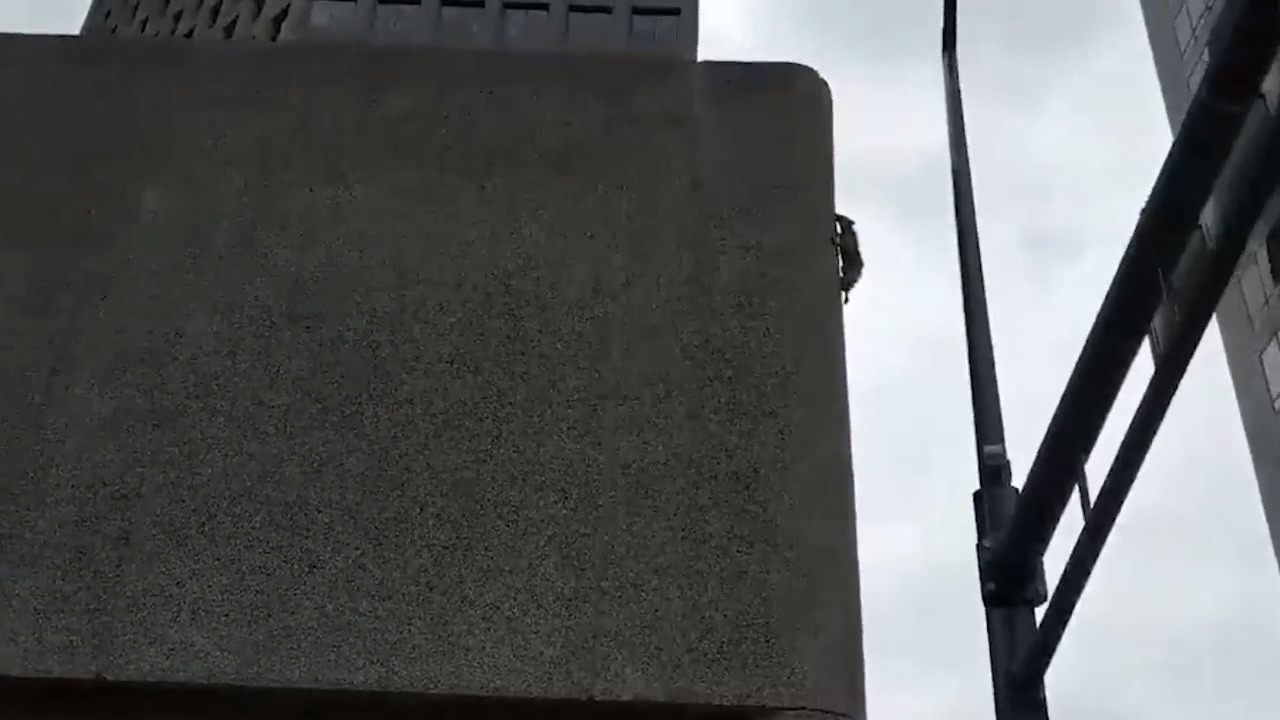 Daredevil raccoon scales Minnesota skyscraper