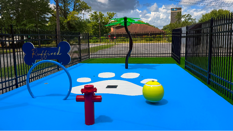 Photos: Go inside Ruffined Pet Wellness in Columbus, GA