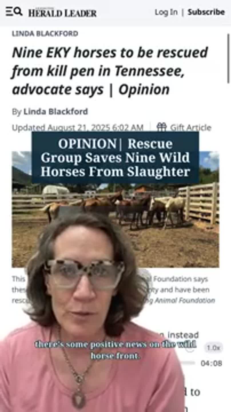 OPINION| Rescue Group Saves Nine Wild Horses From Slaughter