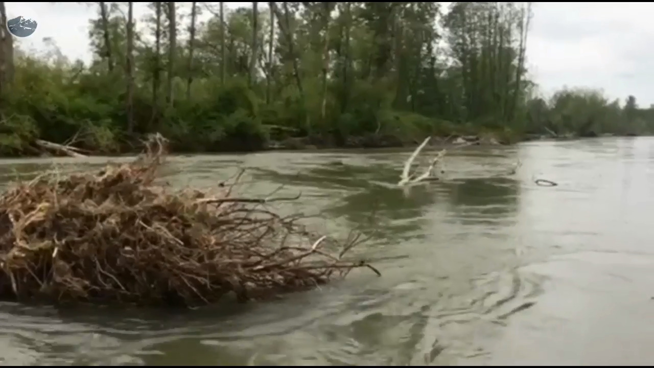 Memorial Day weather looks sunny. See what it will be like for Ski to Sea race events