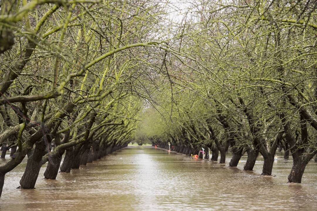 An era of limits: California proposes steering more water to fish, less to farms, cities