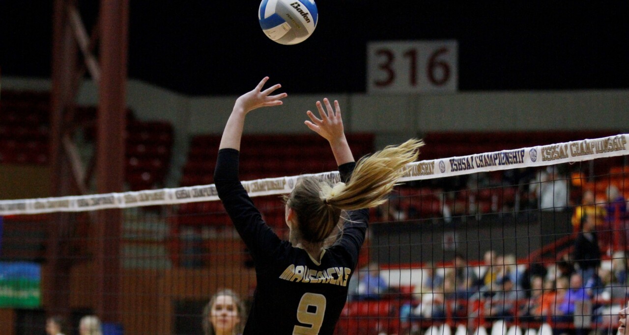2019 Wichita All-Metro Volleyball selection, Maize South’s Laurel Jones