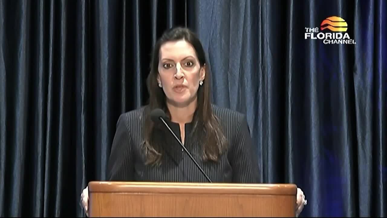 DeSantis administration aims to ‘curb’ diversity, equity, inclusion in state universities