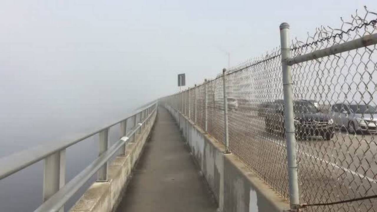 Heavy fog rolls into Tampa Bay region