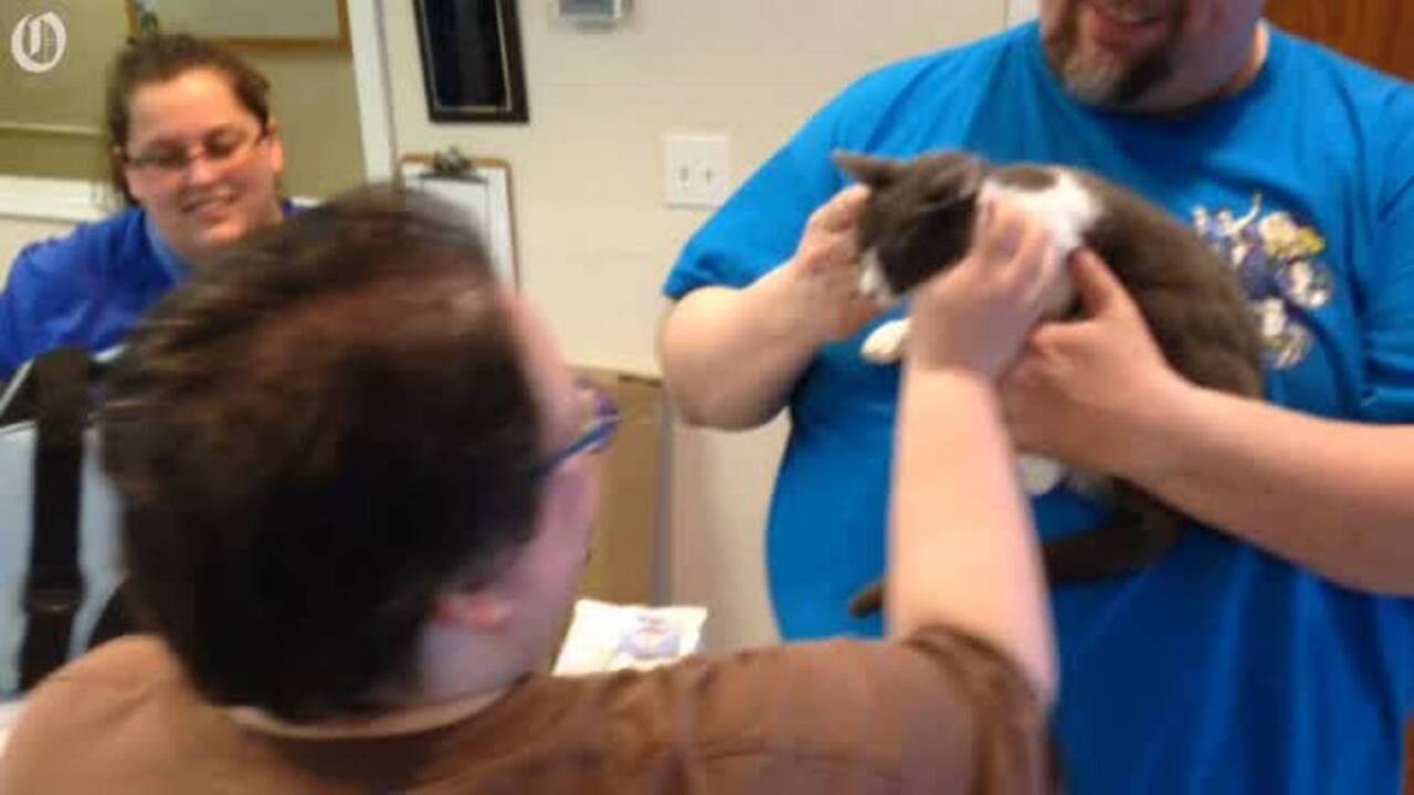 Medical vouchers give older dogs a leg up on adoption
