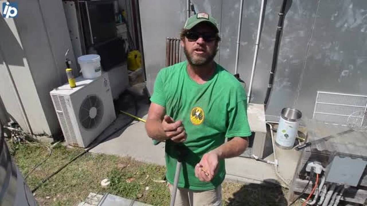 How not to look like a Yankee when eating boiled peanuts
