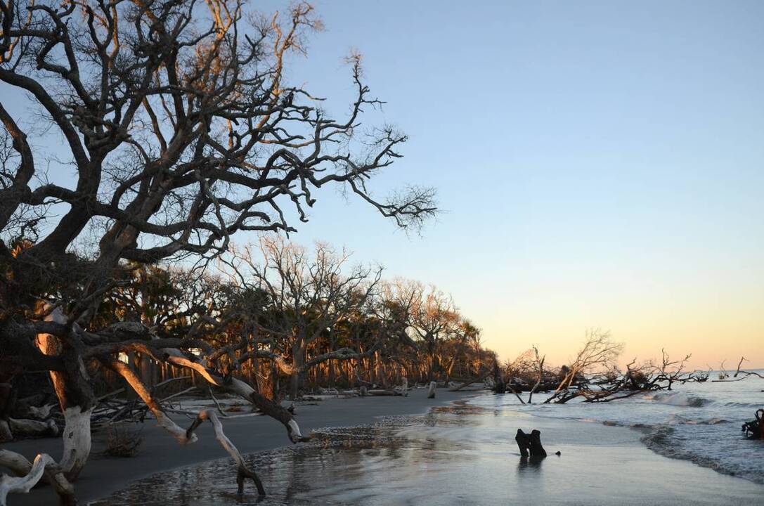 4 amazing spots in Beaufort that you have to see