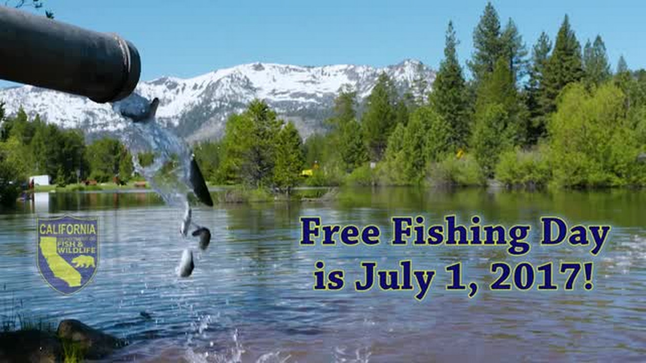 Free Fishing Day is Saturday - no license needed