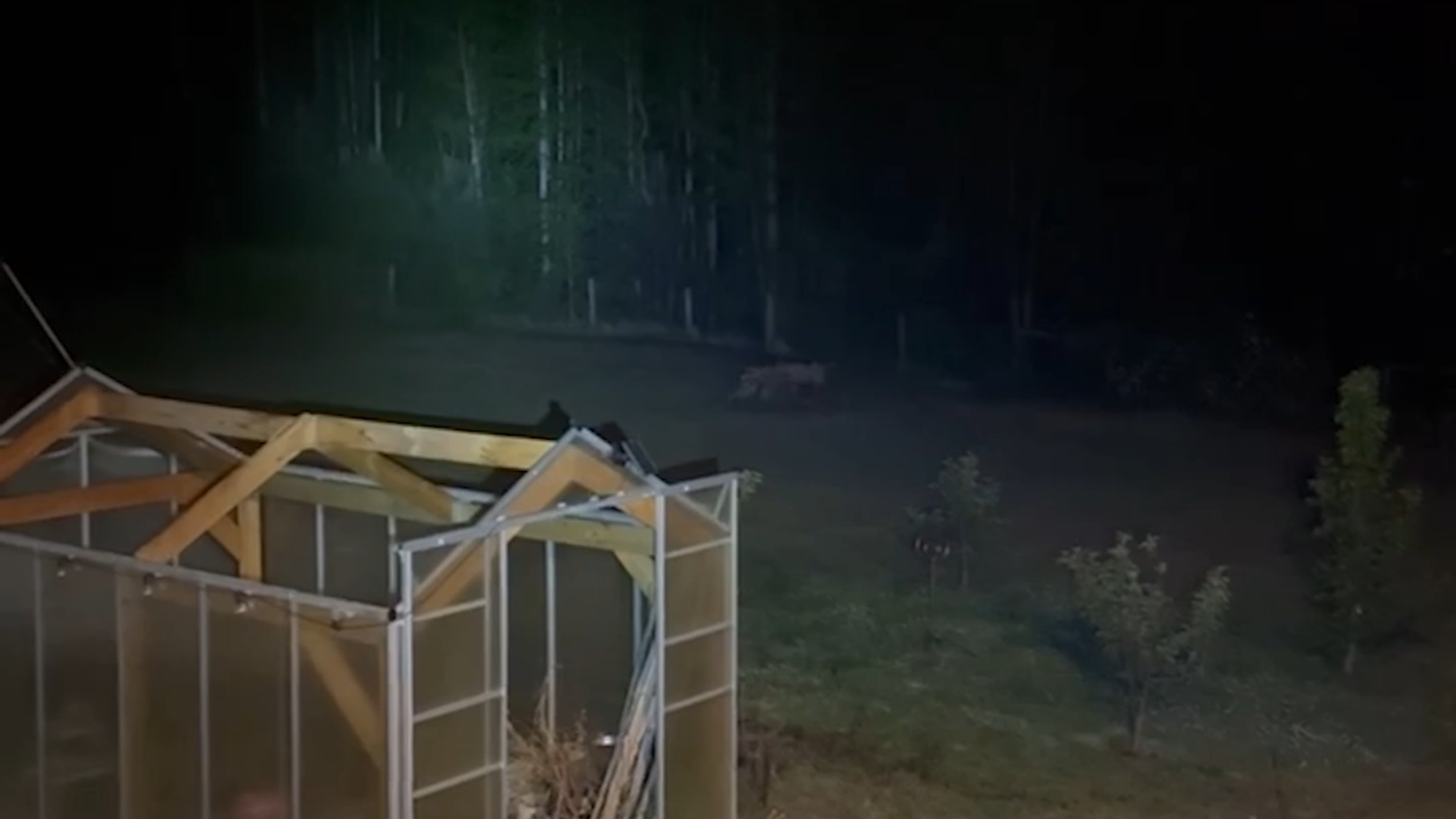 Eerie screams heard in woods near Shelby, North Carolina