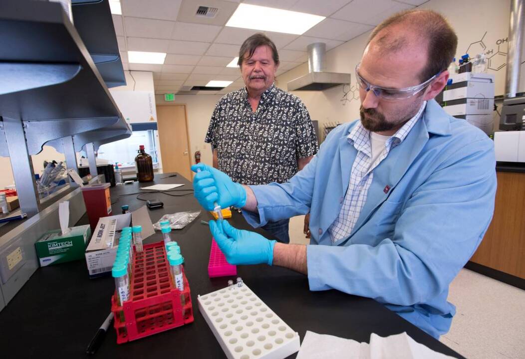 Inside the Puyallup Tribe's marijuana testing lab