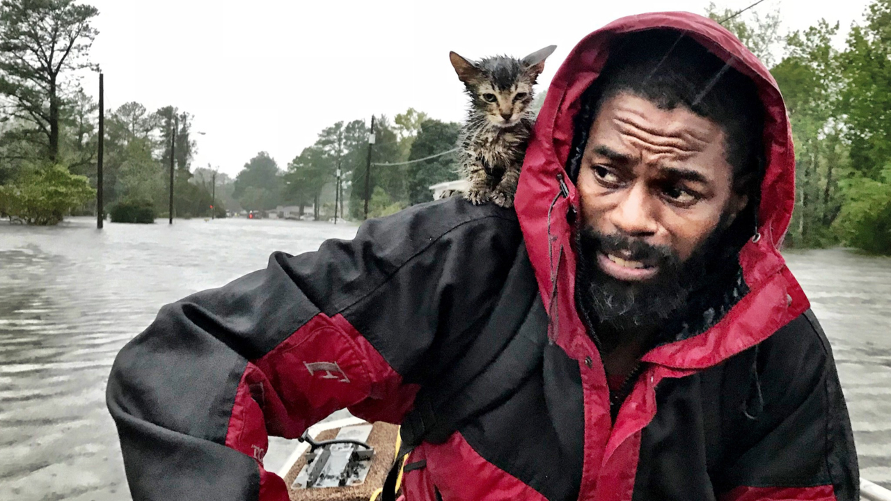 This man and his cat became the faces of Florence — and a story of resilience and hope