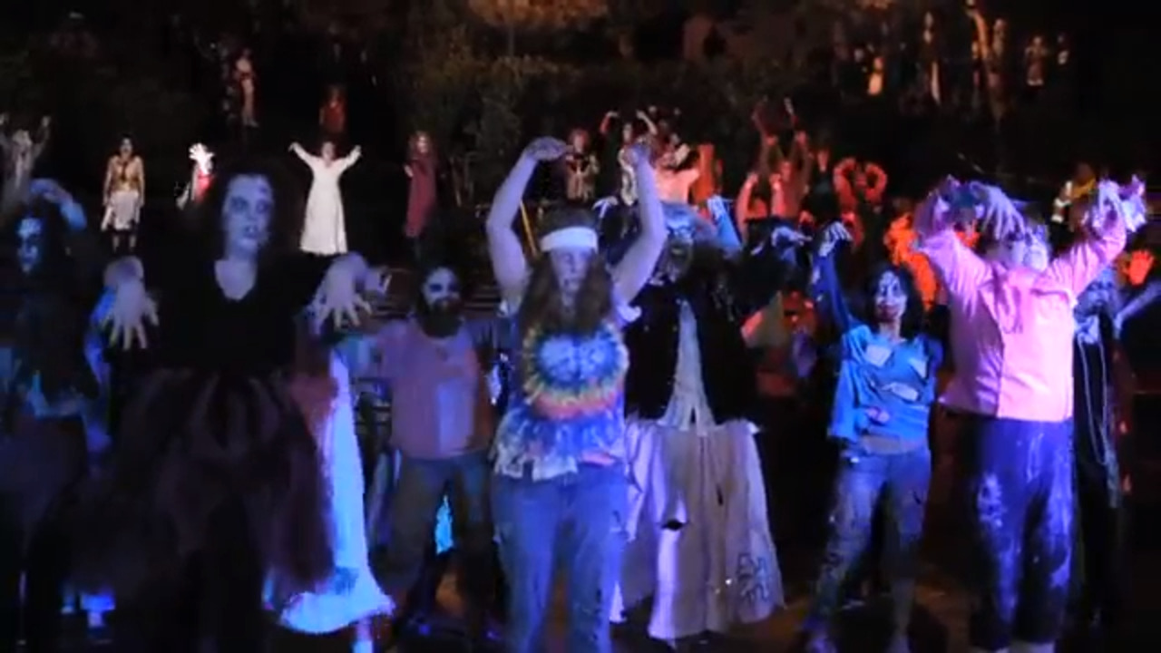 ‘Thrillingham’ - Who’s that dancing on the lawn!