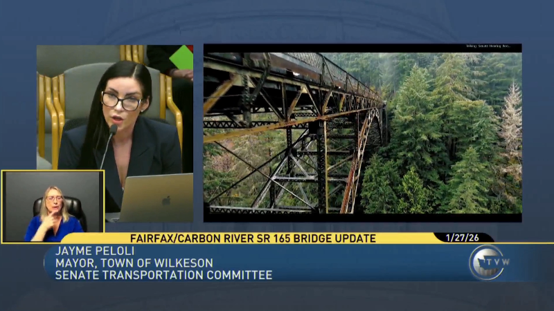 Residents speak out after Fairfax Bridge closure