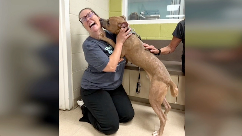 Dog rescued from dumpster in Durham finds a new home