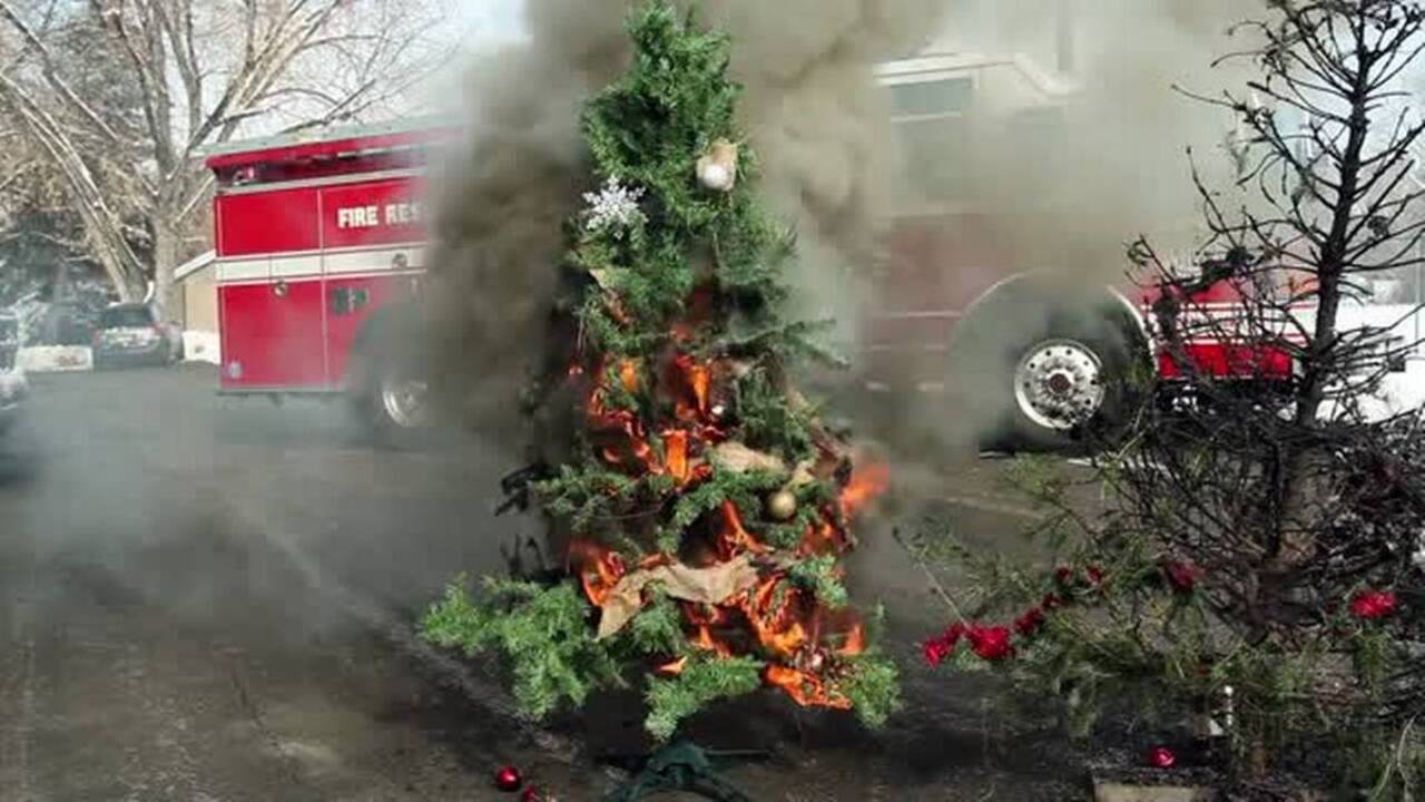 How to keep your Christmas tree from turning into a tragedy